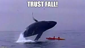 Image result for whale memes