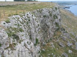 Revision of the central Mediterranean xerothermic cliff vegetation ...