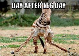 Leg Day Funny on Pinterest | Leg Day Memes, Gym Humour and Gym Memes via Relatably.com