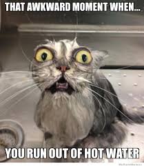 Terrified Bath Cat | WeKnowMemes via Relatably.com
