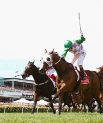 Image result for winning Pirate of Penzance melbourne cup