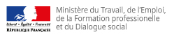 Image result for http://travail-emploi.gouv.fr logo