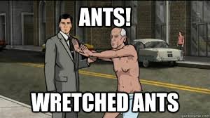 ANTS! wRETCHED aNTS - Misc - quickmeme via Relatably.com