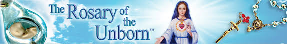 Image result for rosary of the unborn