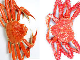 What's the Difference Between Snow Crab and King Crab? — FOOD ...