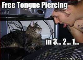 Piercing Memes... on Pinterest | Meme, Piercing and Life Memes via Relatably.com