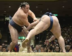 Résultat de recherche d'images pour "sumo"