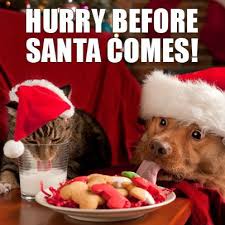 Funniest Christmas memes on Pinterest | Meme, Funny Memes and ... via Relatably.com