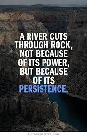 Image result for persistence