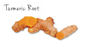 Image result for turmeric root