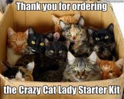 11 Best Pics of the Crazy Cat Lady Meme via Relatably.com