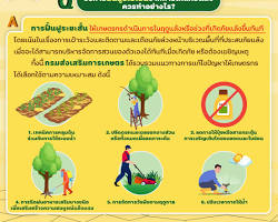 รูปภาพการฟื้นฟูหลังเกิดภัย