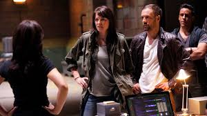 Image result for agents of shield season two