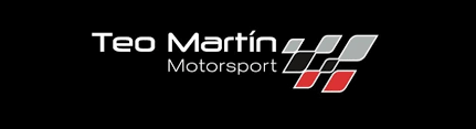 Image result for Teo Martin BMW Team