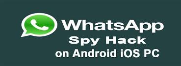 Ways to get Whatsapp check cellphone with MxSpy ?