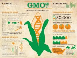 Image result for PICTURES OF MONSANTO FOODS