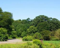 Image of Arnold Arboretum, Brookline, Massachusetts