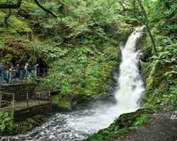 Gambar Dolgoch Falls in North Wales