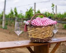Image of Picnic in the vineyards, Vignobles Cardarelli