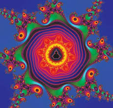 Image result for fractals in albuquerque