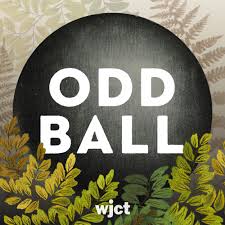 Odd Ball Podcast