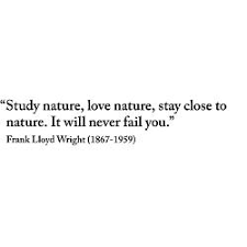 Frank Lloyd Wright Quotes. QuotesGram via Relatably.com