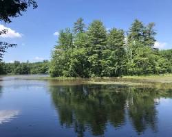 Image of Livingston Park, Manchester, New Hampshire