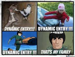 Dynamic Entry! by skyr - Meme Center via Relatably.com