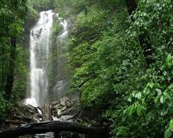 Image of Arasinagundi Falls, Kodachadri Hills