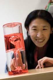 Wendy Zhang, Assistant Professor in Physics and the College, is perfecting a technique that could lead scientists to develop extremely thin wires for use in ... - bubbles-1