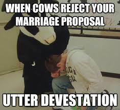 When cows reject your marriage proposal UTTER devestation - Gabes ... via Relatably.com
