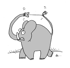 Znalezione obrazy dla zapytania słon