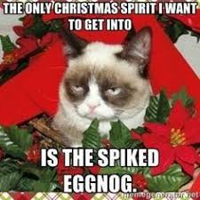 Memes Vault Christmas Grumpy Cats via Relatably.com