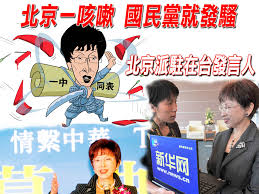 「洪秀柱 台灣人對不起國民黨」的圖片搜尋結果