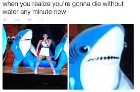 The 23 Most Important Moments In Left Shark History via Relatably.com