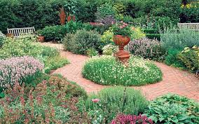 Image result for top garden plants