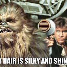 Silky Hair! by evilrage - Meme Center via Relatably.com
