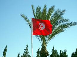Résultat de recherche d'images pour "drapeau tunisie"