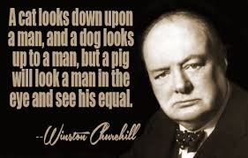Winston Churchill Quotes II via Relatably.com