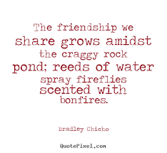 Quotes About Friendship - QuotePixel via Relatably.com