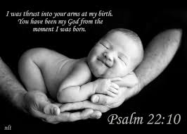 Image result for Psalm 22: 8