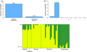 Genetic diversity and origin of the rare, narrow endemic Asperula ...