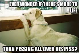 Thoughtful Dog memes | quickmeme via Relatably.com