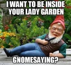 Adult Dirty Jokes on Pinterest | Adult Humor, Funny Alcohol Quotes ... via Relatably.com
