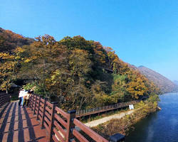 충북 옥천군 향수호수길 전경, AI로 생성