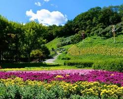 용인 농촌테마파크 풍경, AI로 생성