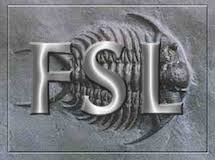 FSL - FslWiki