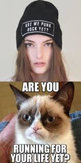 Grumpy Cat: Image Gallery | Know Your Meme via Relatably.com