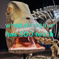 what dinosaur has 500 teeth - zita beahan