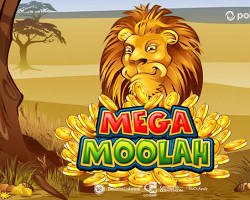 Image of Mega Moolah slot game
